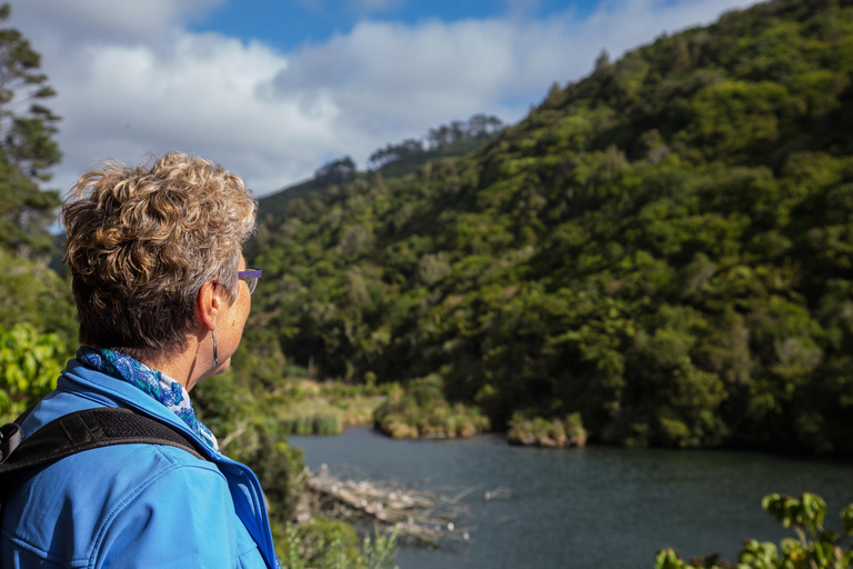 Zealandia: Forest Secrets, Plant Stories Walking Tour