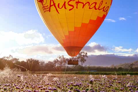 Port Douglas: Sunrise Hot Air Balloon Ride