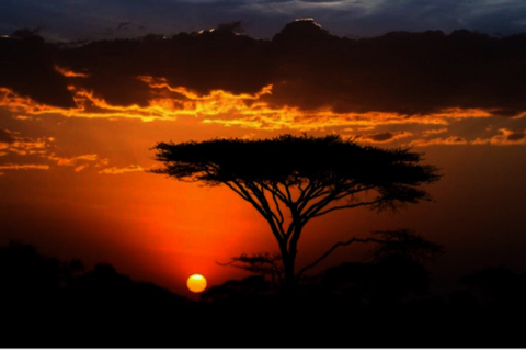 Arusha National Park Tagestour