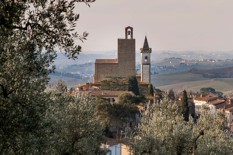 Vinci: ticket de entrada al Museo Leonardiano de Vinci