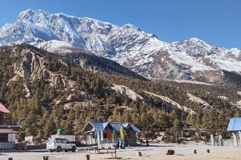 Manang Tilicho Lake 6-Night 7-days Trek and Jeep Tour