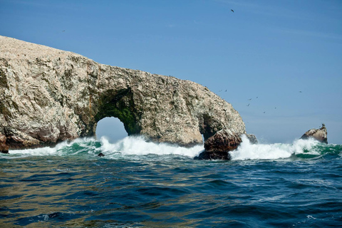 Paracas: Sightseeing Tour of the Ballestas Islands and National Reserve