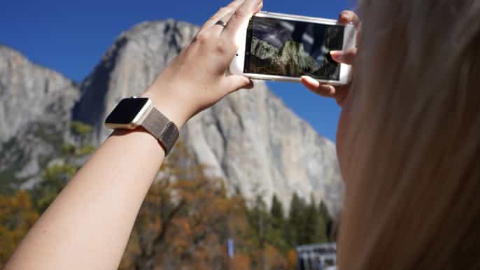 from san francisco 2day monterey yosemite tour