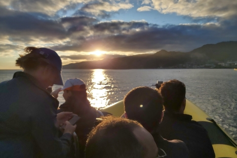 Leuchtturmblick: Bootstour Ponta de São LourençoLeuchtturmansicht 3