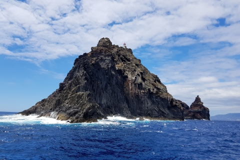 Uitzicht op de vuurtoren: boottocht Ponta de São LourençoVuurtoren Uitzicht 2