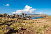 Madeira, Full-Day of Activities at Ponta de São Lourenço - Housity