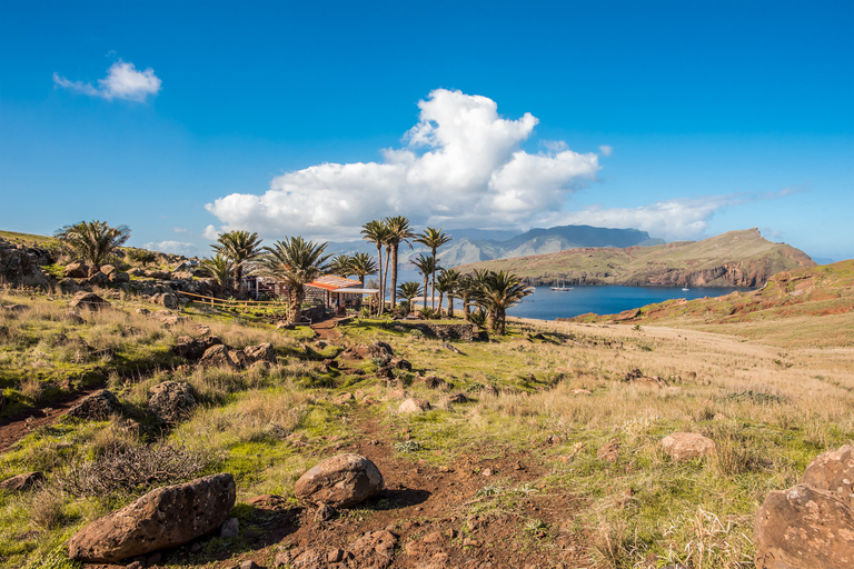 Madeira: Full-Day of Activities at Ponta de São Lourenço