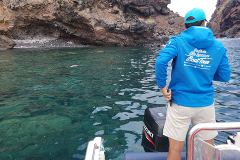 Madeira: Dia Inteiro de Actividades na Ponta de São Lourenço