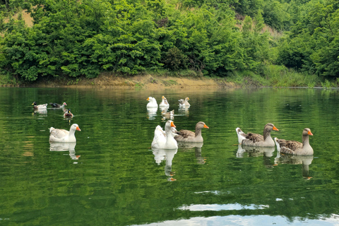 From Tirana: Vineyards, Wine Food Tasting + Lake & Boat Trip