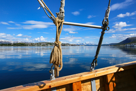 Tromsø: Wieczorny rejs w świetle arktycznym z zupą rybną