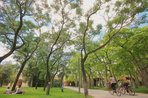 Parken in Valencia: Privétour op de fiets, E-bike of E-Step