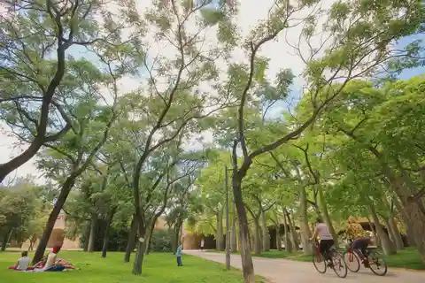 Valencia Parks: Private Tour on Bicycle, E-Bike or E-Step