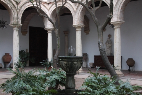 Córdoba: acceso a los jardines y patios del Palacio de VianaCórdoba: ticket de entrada al palacio de Viana