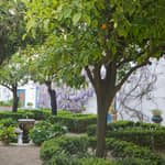 Córdoba: Biglietto d'ingresso per i Giardini e i Patii del Palazzo di Viana