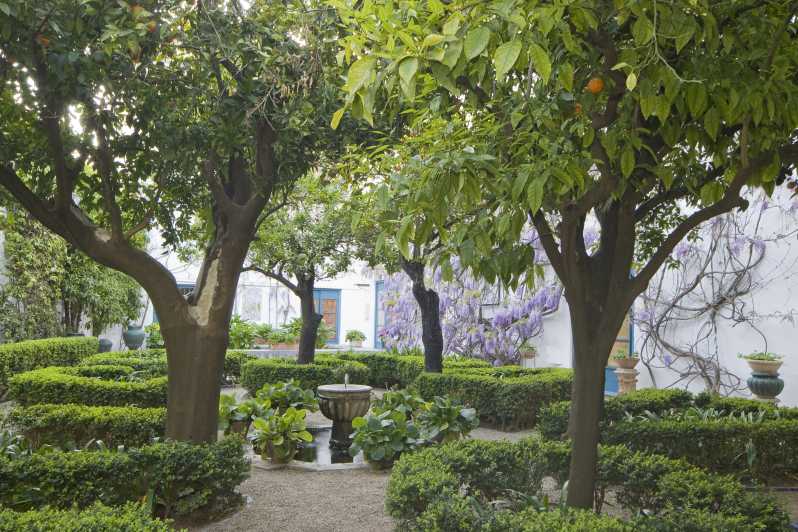 Córdoba: Entreebewijs voor de tuinen en patio's van het Viana-paleis