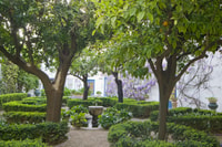 Córdoba, Viana Palace Gardens and Patios Entry Ticket - Hizvo