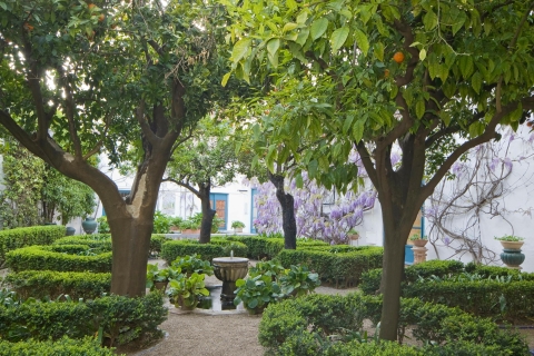 Córdoba: acceso a los jardines y patios del Palacio de VianaCórdoba: ticket de entrada al palacio de Viana