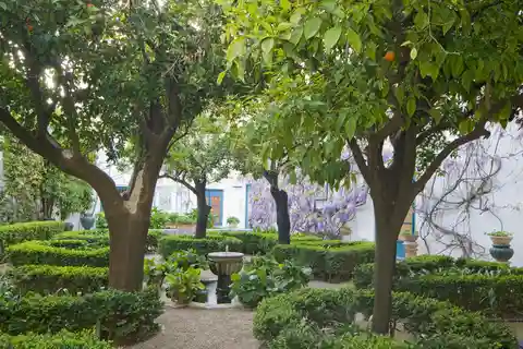 Viana Palace Gardens and Patios Entry Ticket