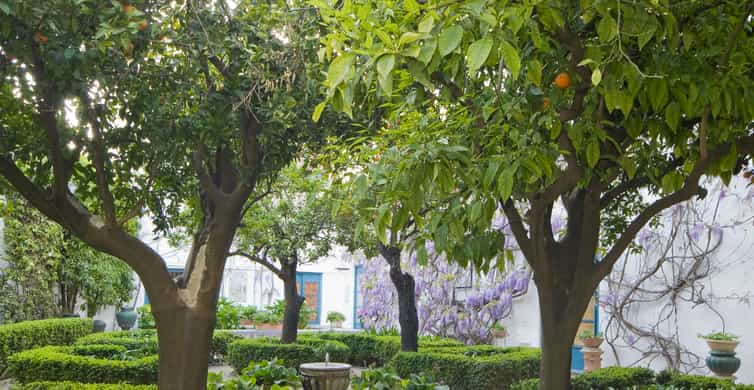 Córdoba: Viana Palace Gardens and Patios Entry Ticket