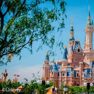 Shanghai Disneyland: Private Transfer with Optional Ticket