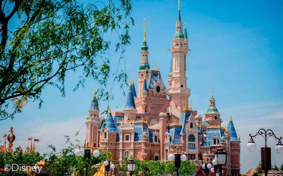Shanghai Disneyland: Private Transfer with Optional Ticket