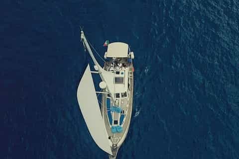 Funchal: Yacht Tour with Dolphin and Whale Watching