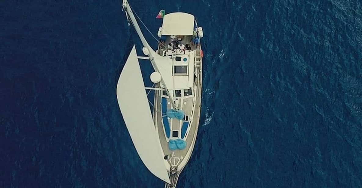 Funchal: Yacht Tour with Dolphin and Whale Watching