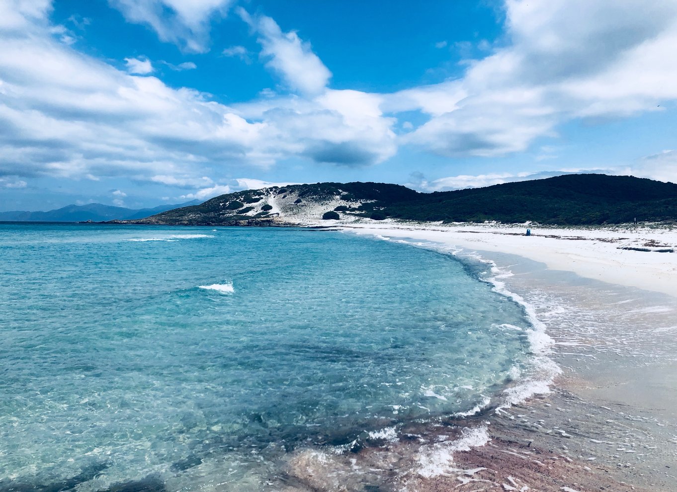 Fra Calvi: 4x4-dagstur til bjergene og Agriates' Saleccia-strand