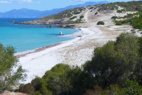 4x4 Agriates Desert and Beach Excursion from Calvi