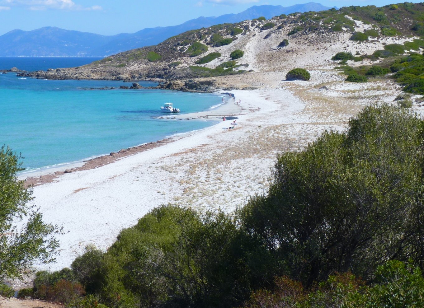 4x4 Agriates ørken- og strandudflugt fra Calvi