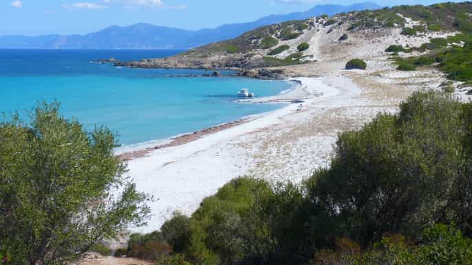 depuis calvi excursion désert des agriates et plage en 4x4