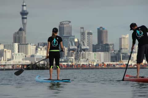 Auckland: Private Stand Up Paddle Boarding Lesson