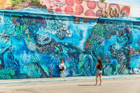 Miami : quartier des artistes de Wynwood en voiturette