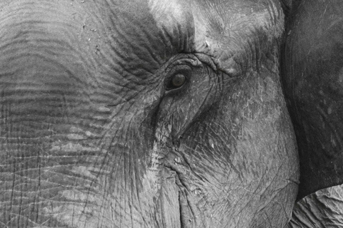 Sri Lanka: 6-Day Photography Tour with Hotel & Guide