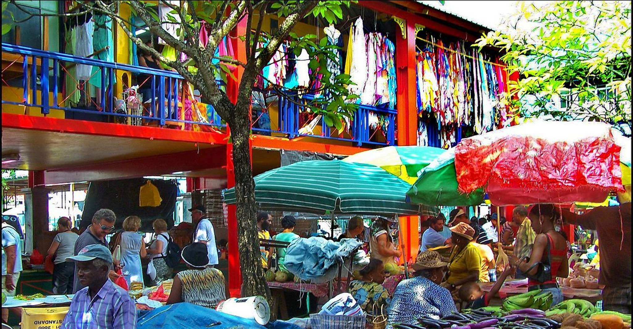 Mahé Island, Island Highlights Guided Day Trip with Lunch - Housity