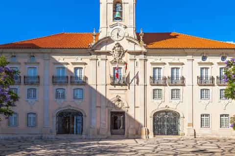 Aveiro: recorrido a pie con paseo y degustación de Moliceiro opcionales