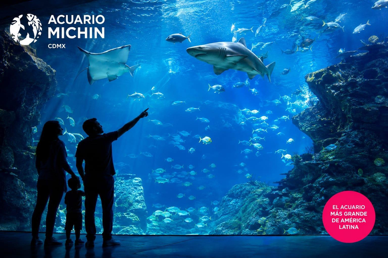 Mexico City: Acuario Michin Entry Ticket With Keeper Talks