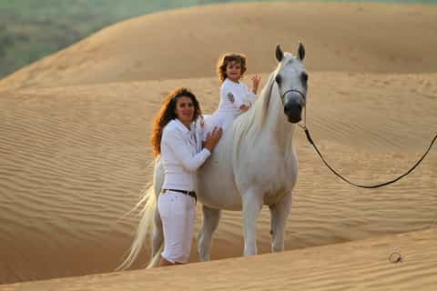 Sharm El-Sheikh: 1-Hour Horse Riding Experience