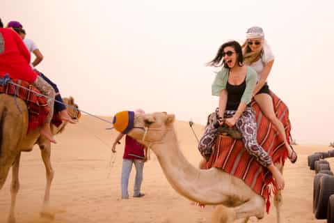 sharm elsheikh 1hour horse riding experience