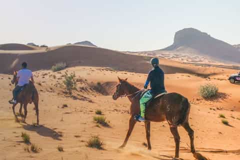 Sharm El-Sheikh: 1-Hour Horse Riding Experience