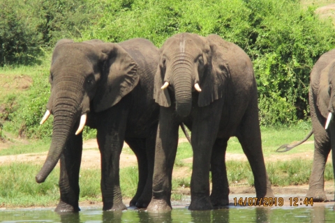 Queen Elizabeth National Park: 2-Day Safari with Boat Cruise