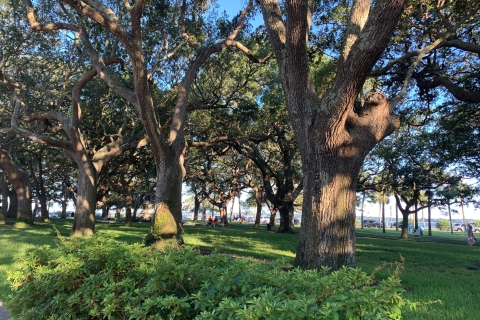 Charleston: historische wandeltocht met verhalen