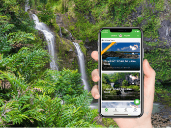 Maui: Selbstfahrender Sightseeing-Roadtrip Maui: Selbstfahrender Sightseeing-Roadtrip