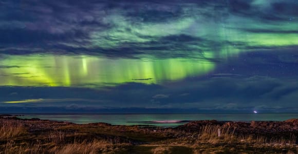 From Svolvær: Guided Northern Lights Tour by Van