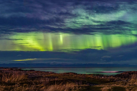 De Svolvær: Visita guiada à aurora boreal em uma van