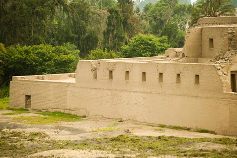 Lima: Ruiny Pachacamac i półdniowa wycieczka z przewodnikiem po Barranco