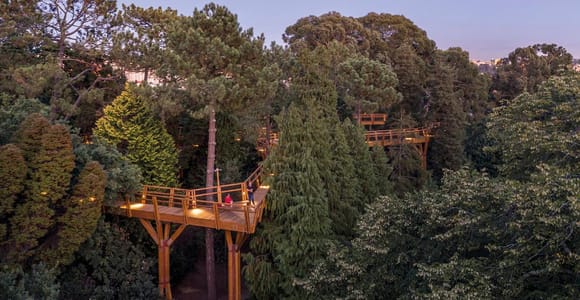Porto: Serralves Park Entry Ticket