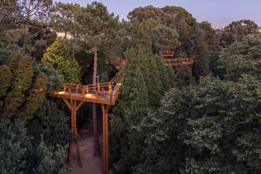 Porto: Serralves Park Entry Ticket. Foto: GetYourGuide Porto: Serralves Park Entry Ticket. Foto: GetYourGuide