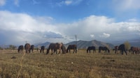 Entdecken Sie Immense Issyk kul See & Kok Moynok Canyons - Hizvo