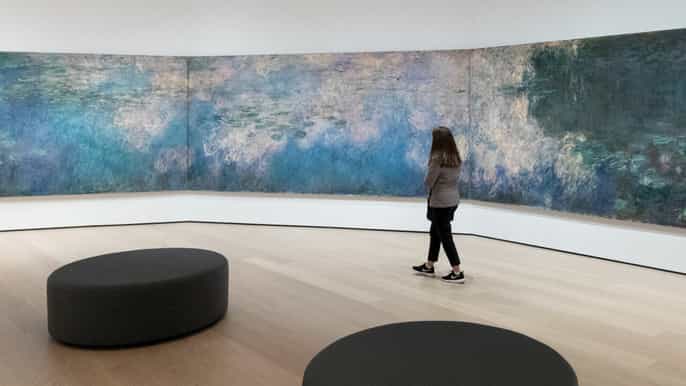 new york museum of modern art (moma) entry ticket